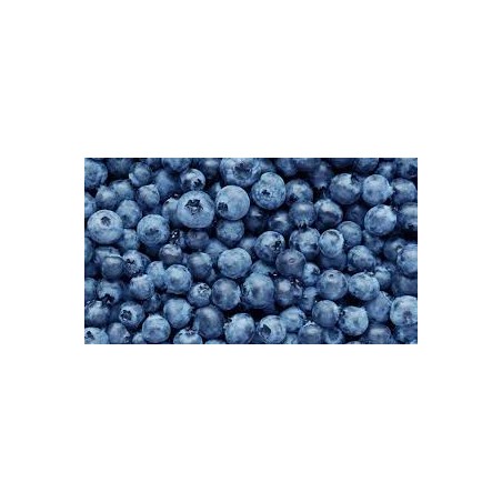 Blueberry 70gr