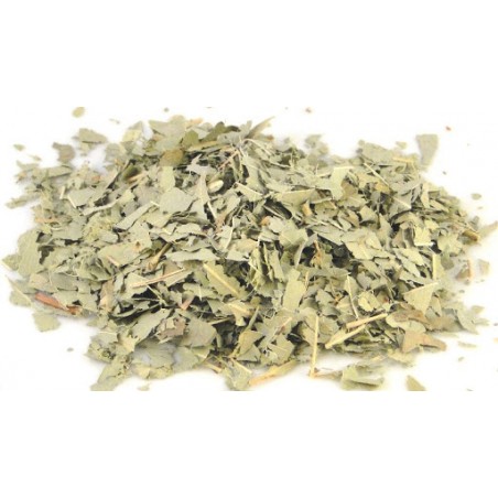 ΕΥΚΑΛΥΠΤΟΣ 55gr