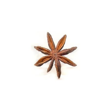 Αστεροειδές Γλυκάνισος 40gr