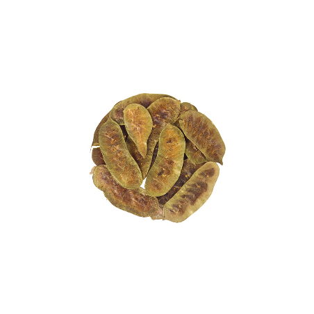 Φύλλα Αιγύπτου (Αλεξανδρείας) 65 γρ 1 €